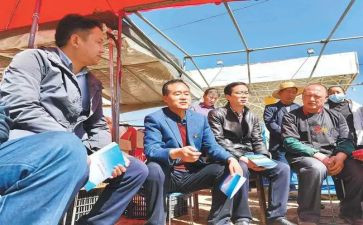 支驻村帮扶工作总结优质7篇
