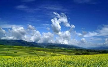 卓越圈的心得体会6篇