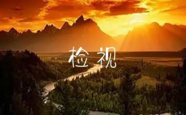 公司自检的自查报告7篇