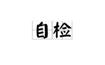 电自检自查报告精选5篇