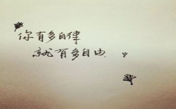 2024年廉洁自律个人总结8篇