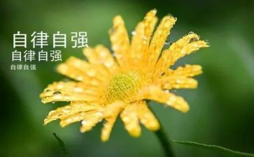 自强社演讲稿5篇