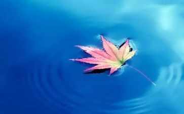 爱自然读后感6篇