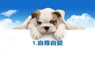 自尊类的作文5篇