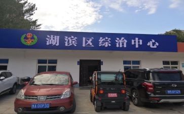 综治工作年终总结6篇