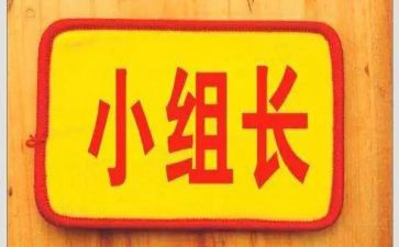 组长个人年终总结模板5篇