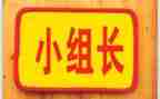 组长个人年终总结模板5篇