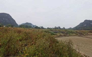 房屋租赁合同的模板优秀6篇