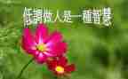 论做人演讲稿优质5篇
