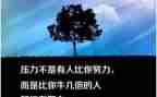 _是我的座右铭作文优质5篇
